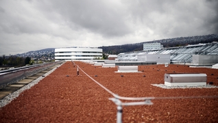 Das 2025 energetischen Sanierte und 700 m² grosse Flachdach der Schulthess Klinik.